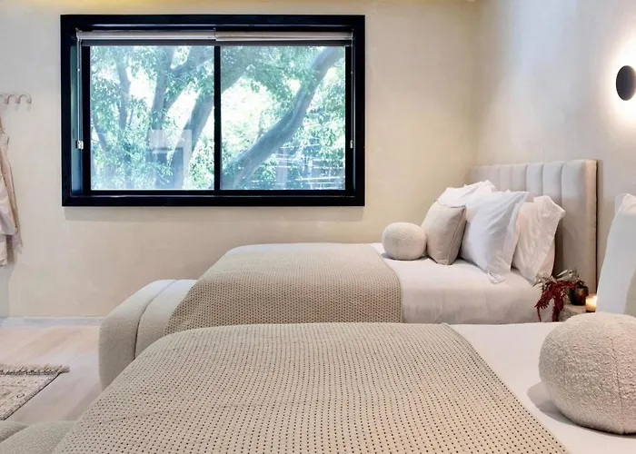 2 Luxury In Condesa With Rooftops 18br Holiday home