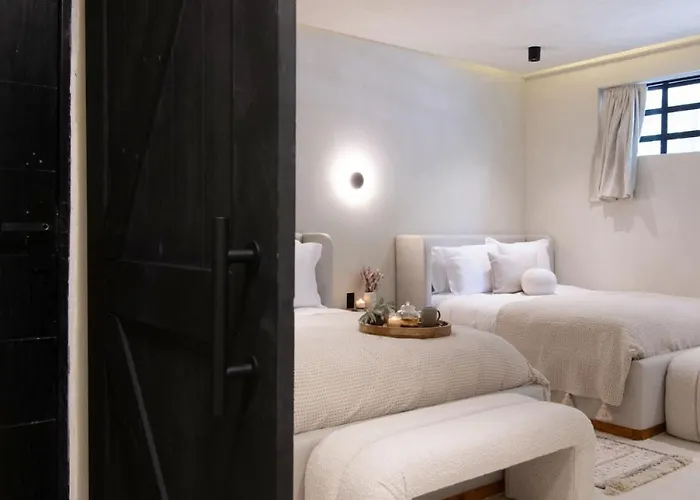 2 Luxury In Condesa With Rooftops 18br Holiday home Mexico City