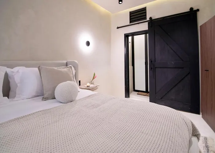 2 Luxury In Condesa With Rooftops 18br Holiday home *